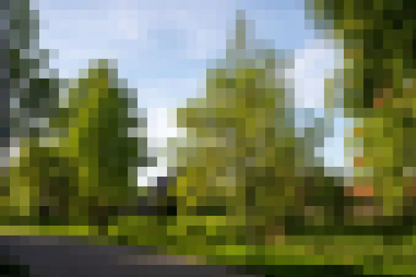 Molensingel 81 Delft thumbnail 31