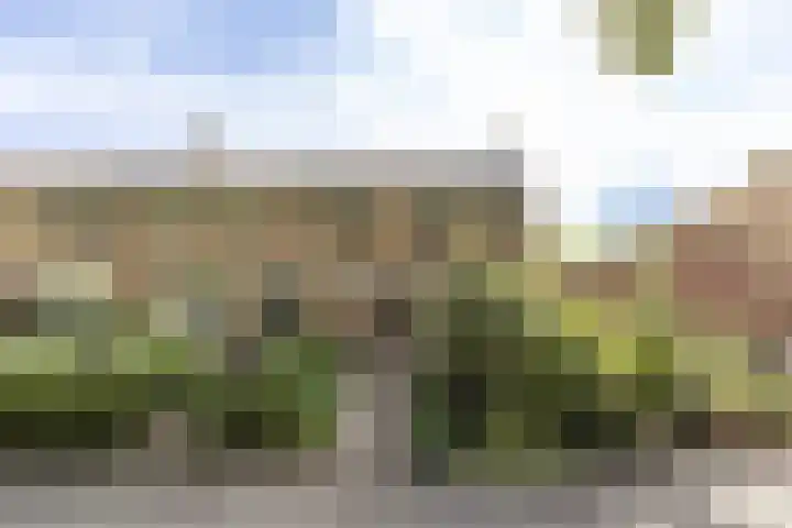 Molensingel 83 in Schiedam