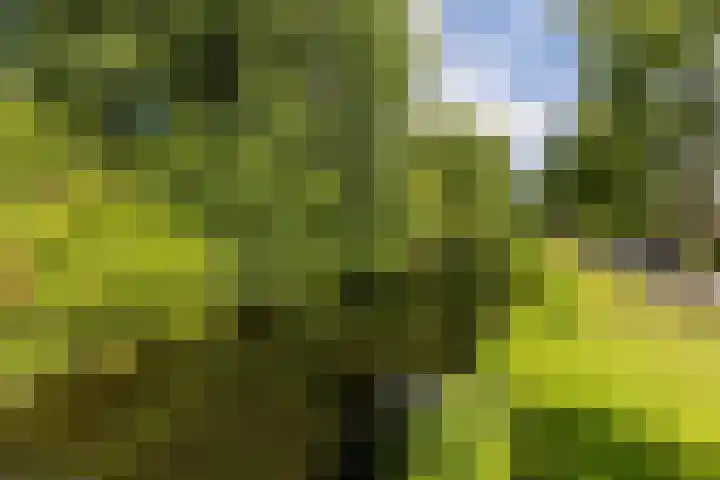Molensingel 83 Schiedam thumbnail 43