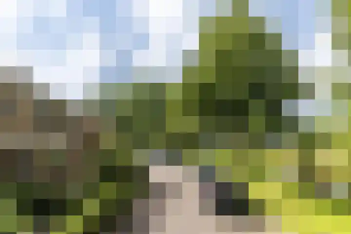 Molensingel 83 Schiedam thumbnail 45