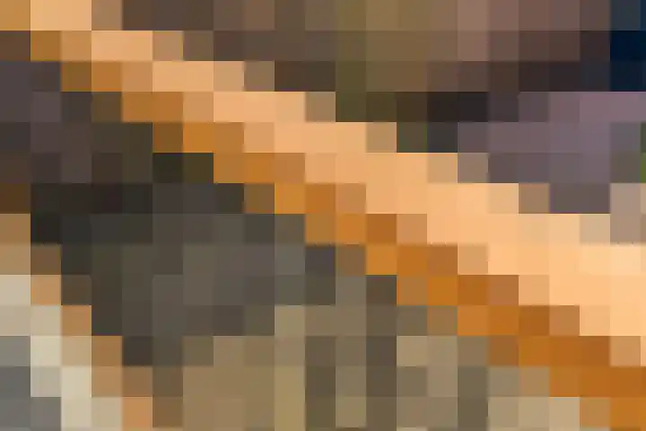 Molensingel 92 Rotterdam thumbnail 12