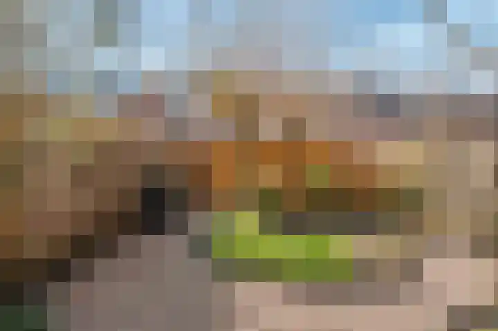 Molensingel 92 Rotterdam thumbnail 13