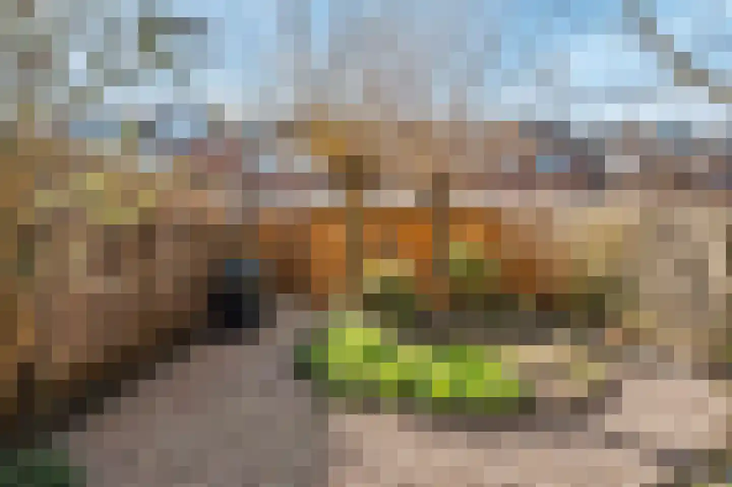 Molensingel 92 Rotterdam thumbnail 13