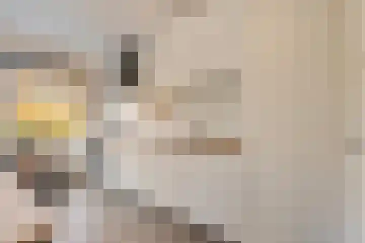 Molensingel 92 Rotterdam thumbnail 21