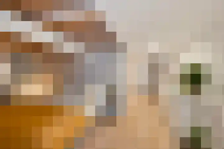 Molensingel 92 Rotterdam thumbnail 33