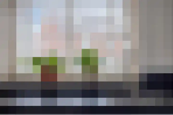 Molensingel 92 Rotterdam thumbnail 34