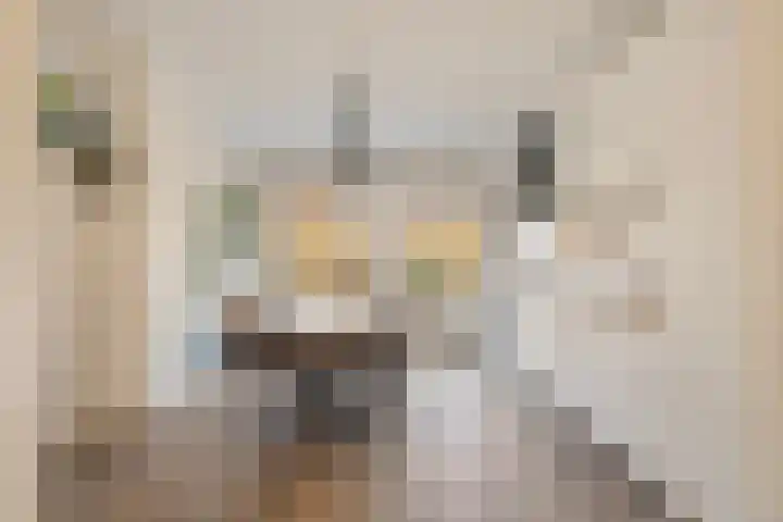 Molensingel 92 Rotterdam thumbnail 4