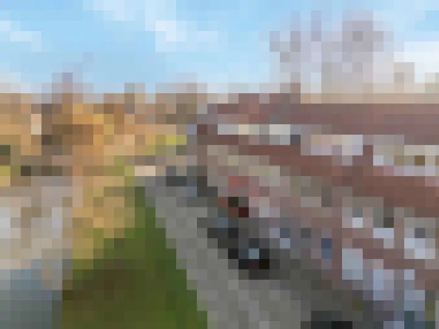 Molensingel 92 Rotterdam thumbnail 41