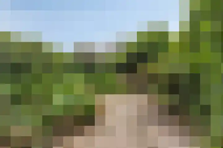 Molensingel 92 Rotterdam thumbnail 43