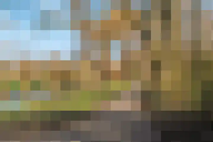 Molensingel 92 Rotterdam thumbnail 44