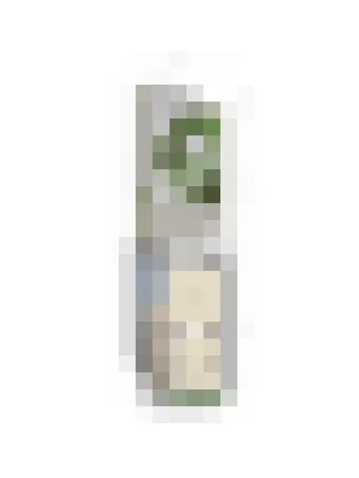 Molensingel 92 Rotterdam thumbnail 48