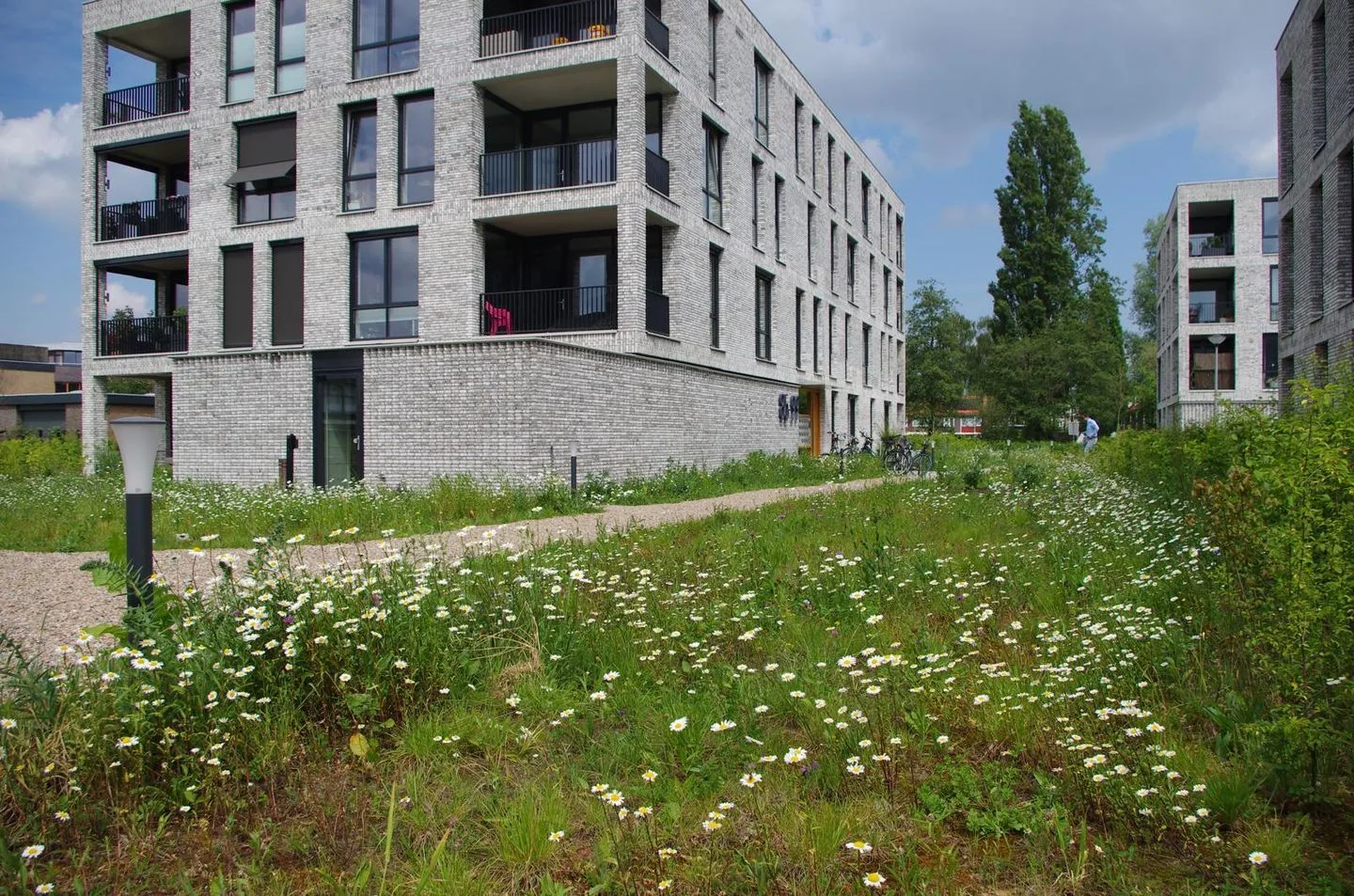 Molenslag 88 Breda thumbnail 25