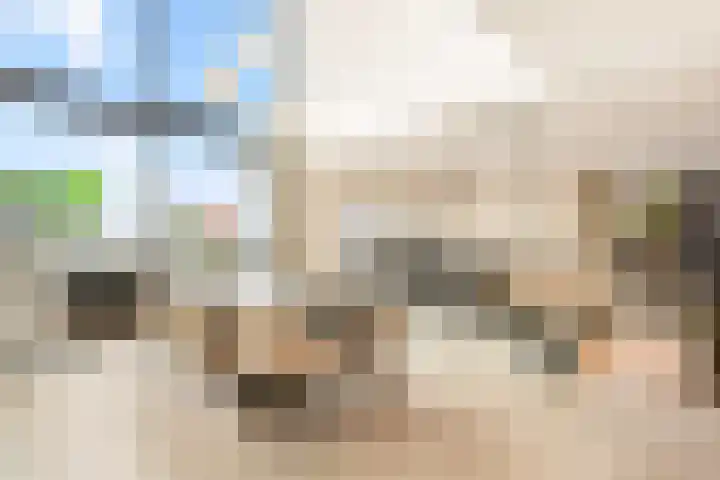 Molensloot 13 Spaarndam thumbnail 13