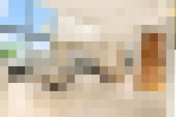 Molensloot 13 Spaarndam thumbnail 16