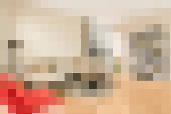 Molensloot 13 Spaarndam thumbnail 22
