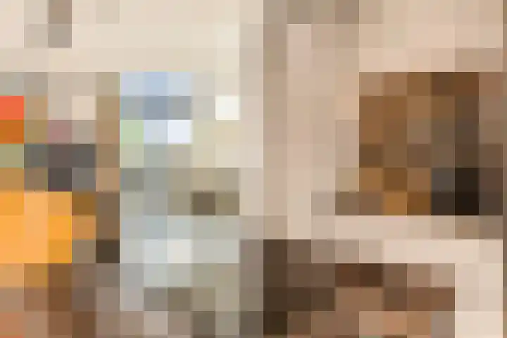 Molensloot 13 Spaarndam thumbnail 26