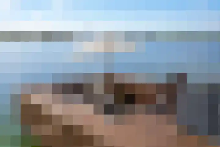 Molensloot 13 Spaarndam thumbnail 32