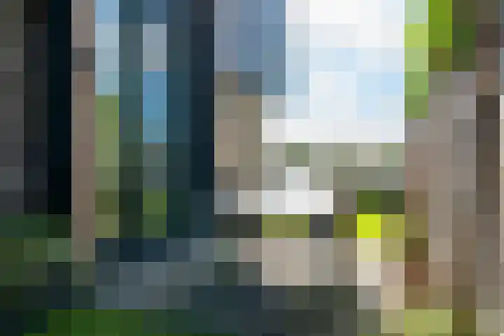 Molensloot 13 Spaarndam thumbnail 38