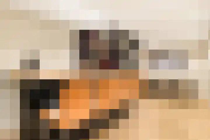 Molensloot 13 Spaarndam thumbnail 45