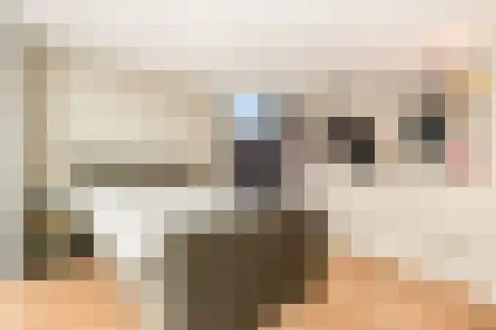 Molensloot 13 Spaarndam thumbnail 51