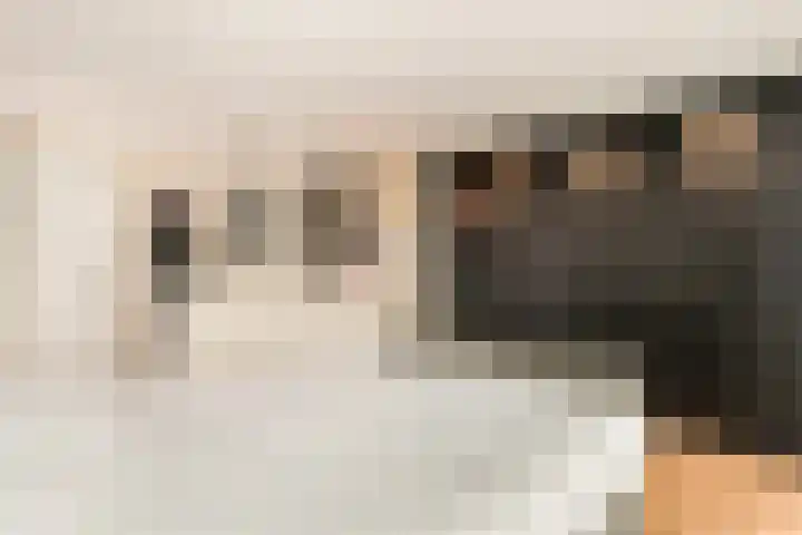 Molensloot 13 Spaarndam thumbnail 52