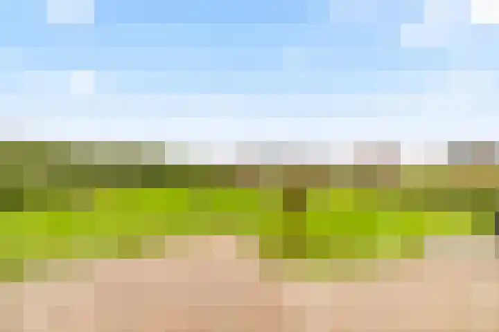 Molensloot 13 Spaarndam thumbnail 67