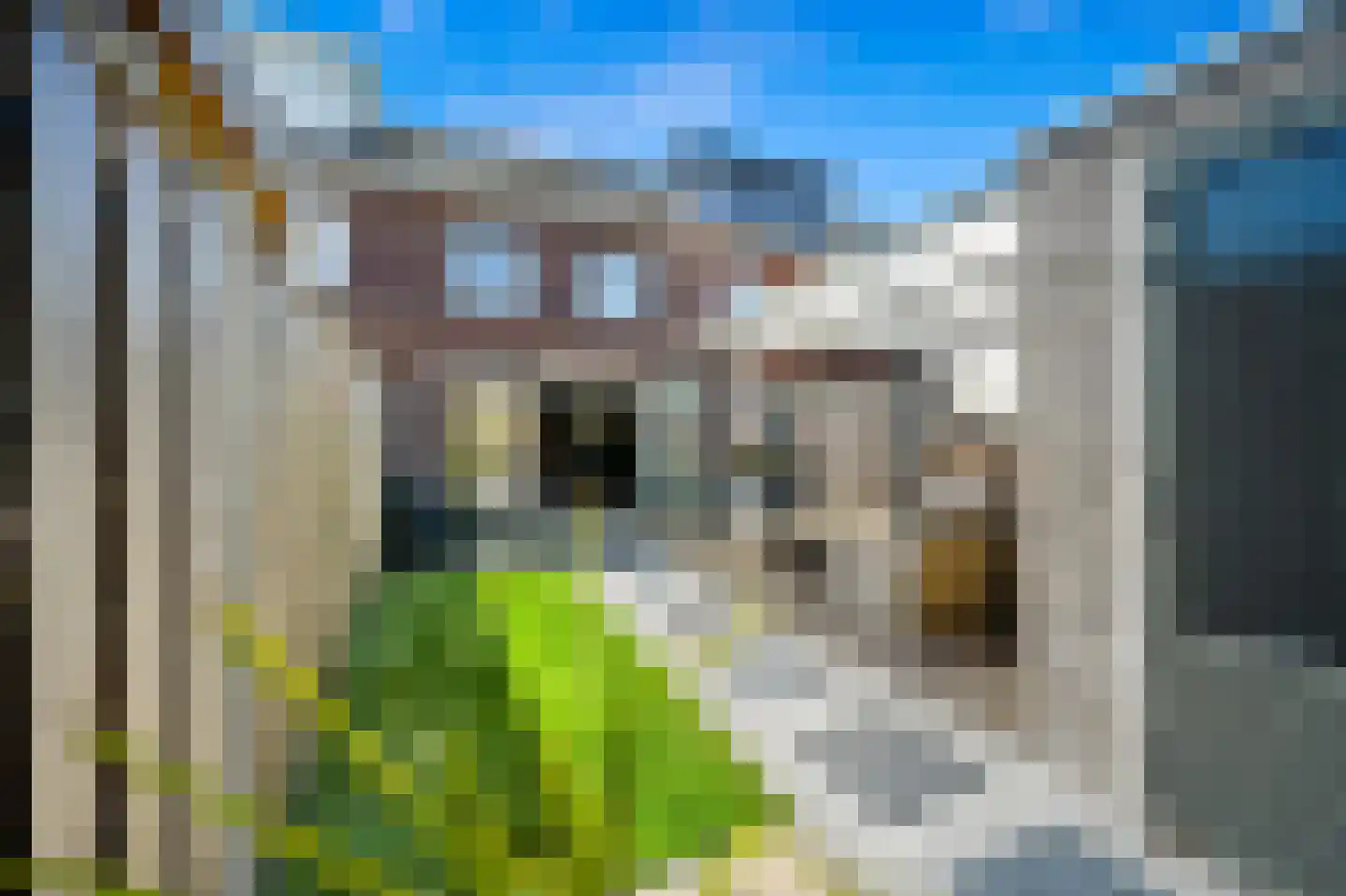 Molensloot 79 Den Hoorn thumbnail 5