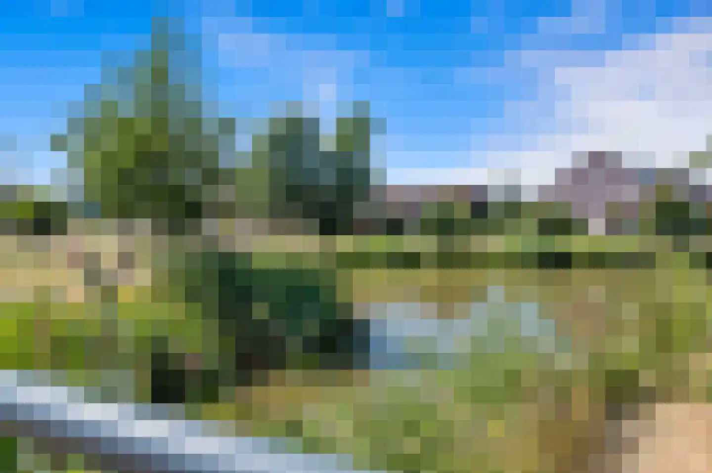 Molensloot 79 Den Hoorn thumbnail 61