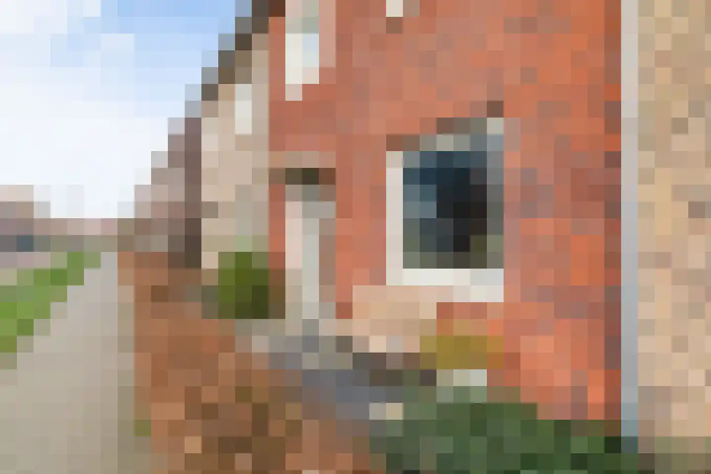 Molensloot 85 Den Hoorn thumbnail 6