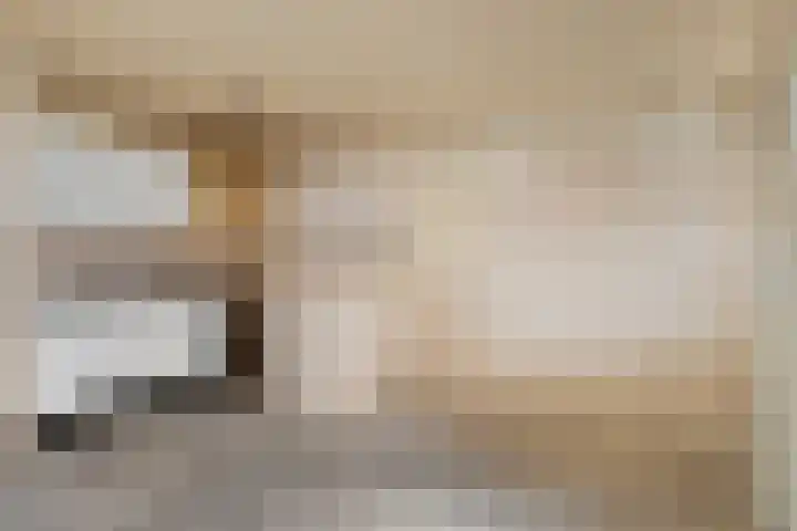 Molensteeg 1 22 Dongen thumbnail 9