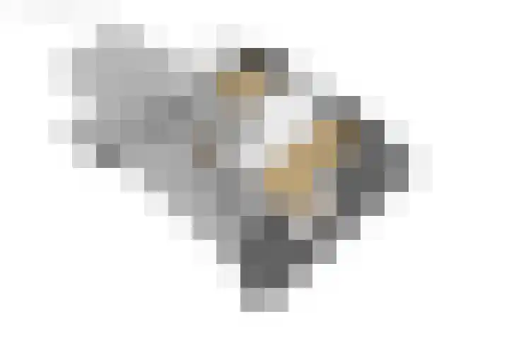 Molensteeg 13 Dokkum thumbnail 48