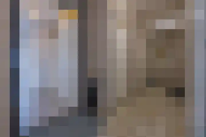 Molensteeg 15 Tiel thumbnail 12