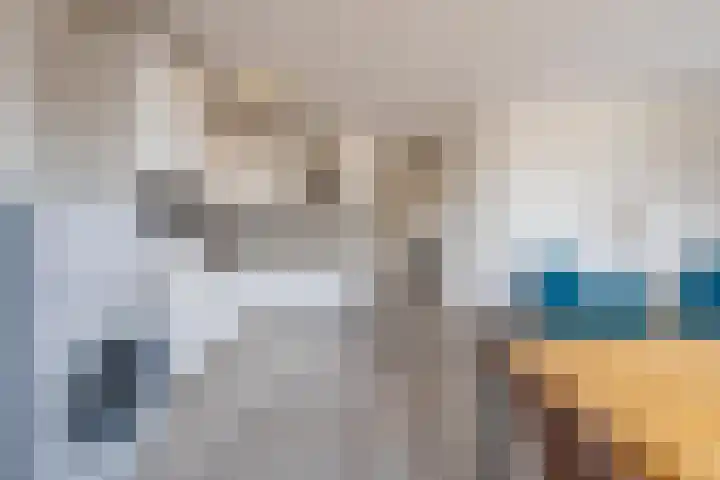 Molensteeg 15 Tiel thumbnail 18