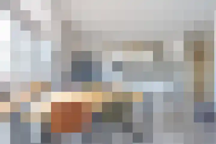 Molensteeg 15 Tiel thumbnail 19
