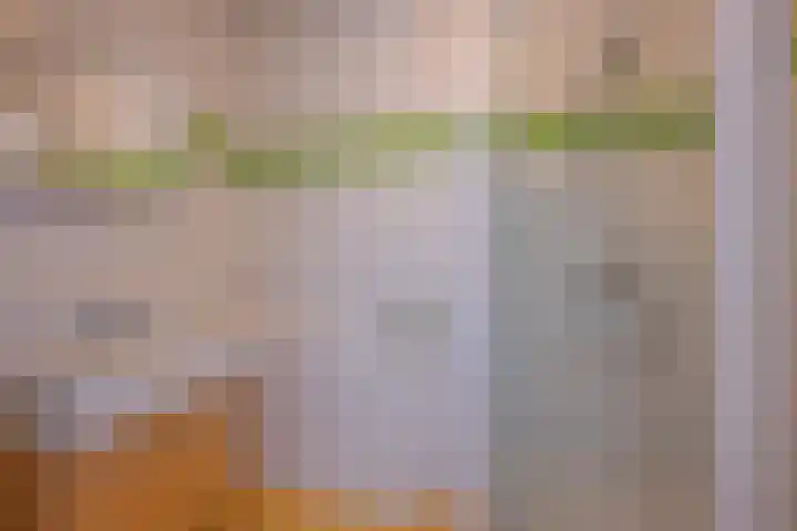 Molensteeg 15 Tiel thumbnail 28