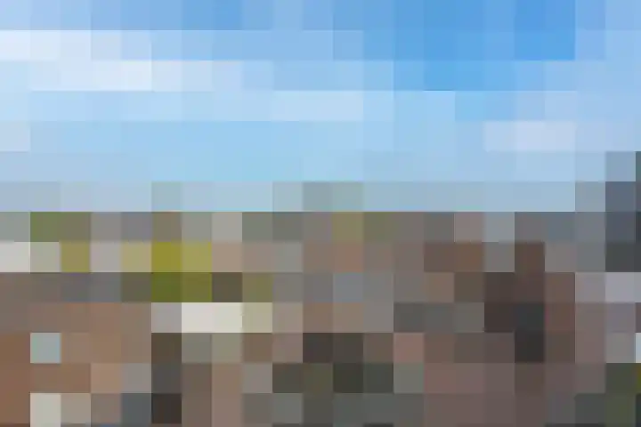 Molensteeg 15 Tiel thumbnail 30