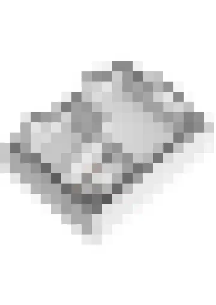 Molensteeg 15 Tiel thumbnail 37