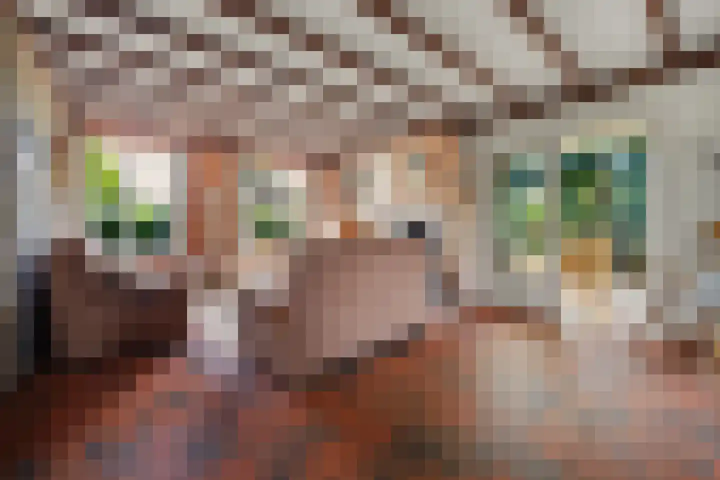 Molensteeg 17 A Drunen thumbnail 11