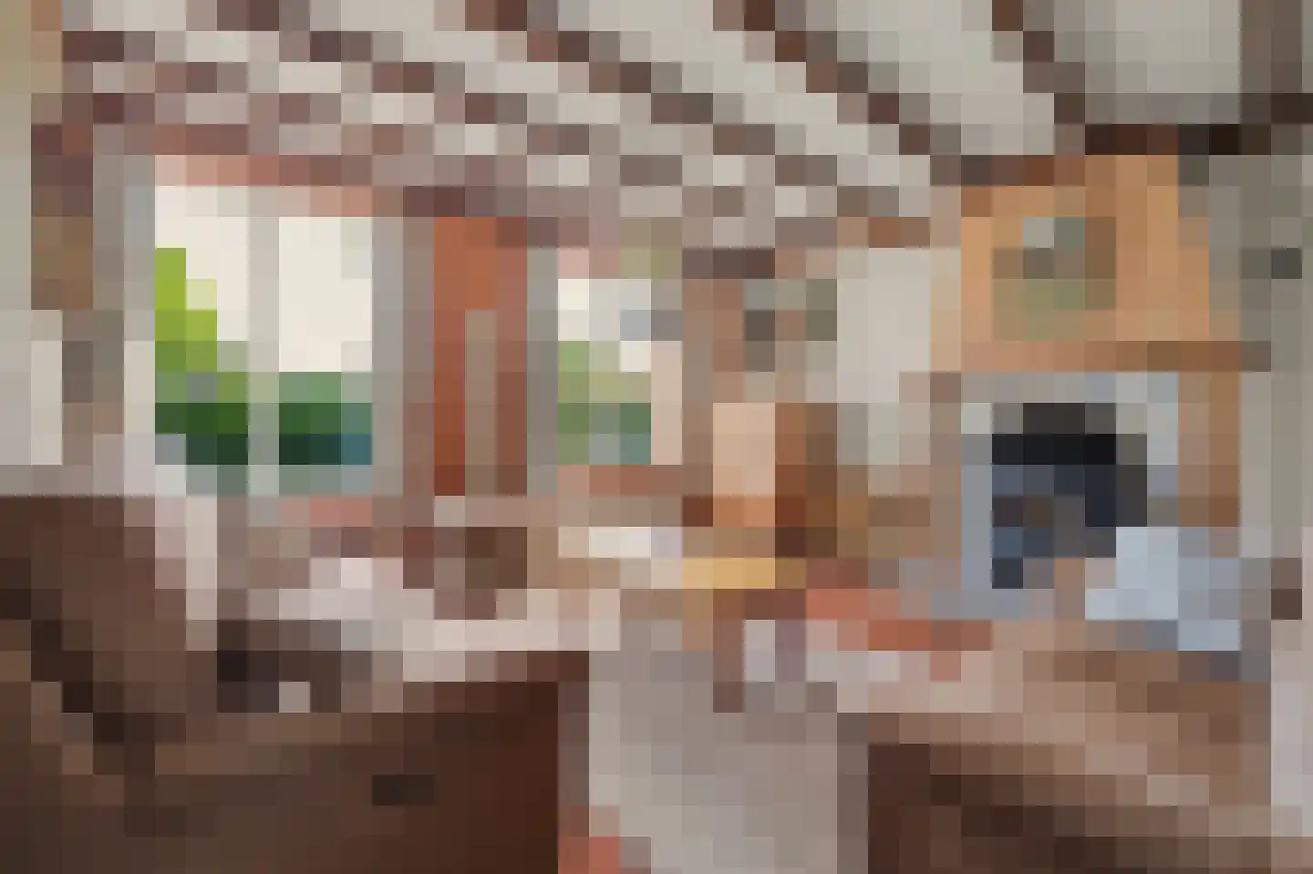 Molensteeg 17 A Drunen thumbnail 12