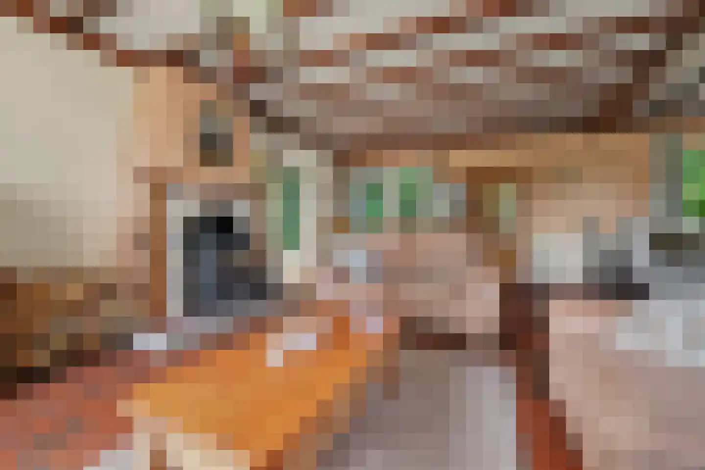 Molensteeg 17 A Drunen thumbnail 13