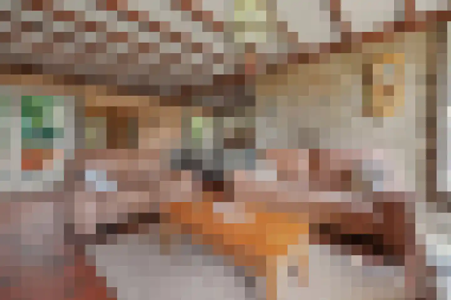 Molensteeg 17 A Drunen thumbnail 14