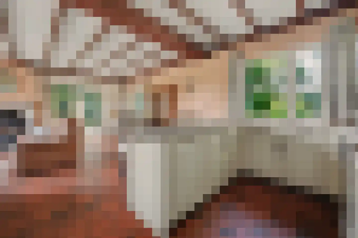 Molensteeg 17 A Drunen thumbnail 16
