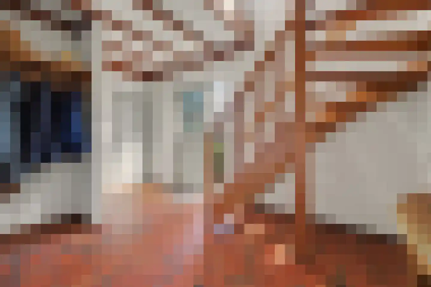 Molensteeg 17 A Drunen thumbnail 19