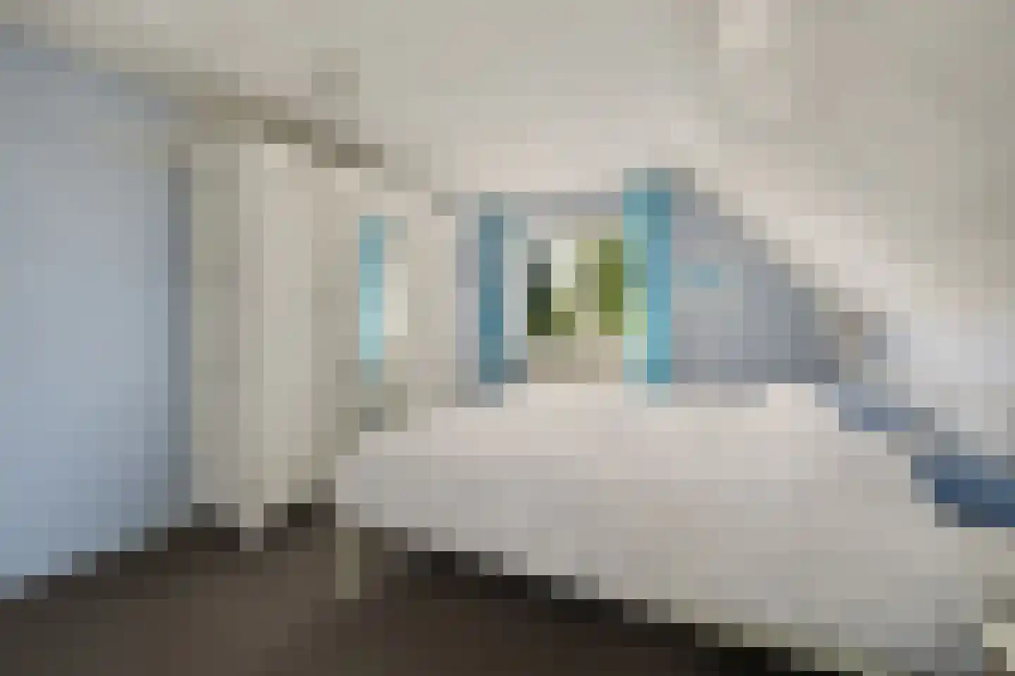 Molensteeg 17 A Drunen thumbnail 22