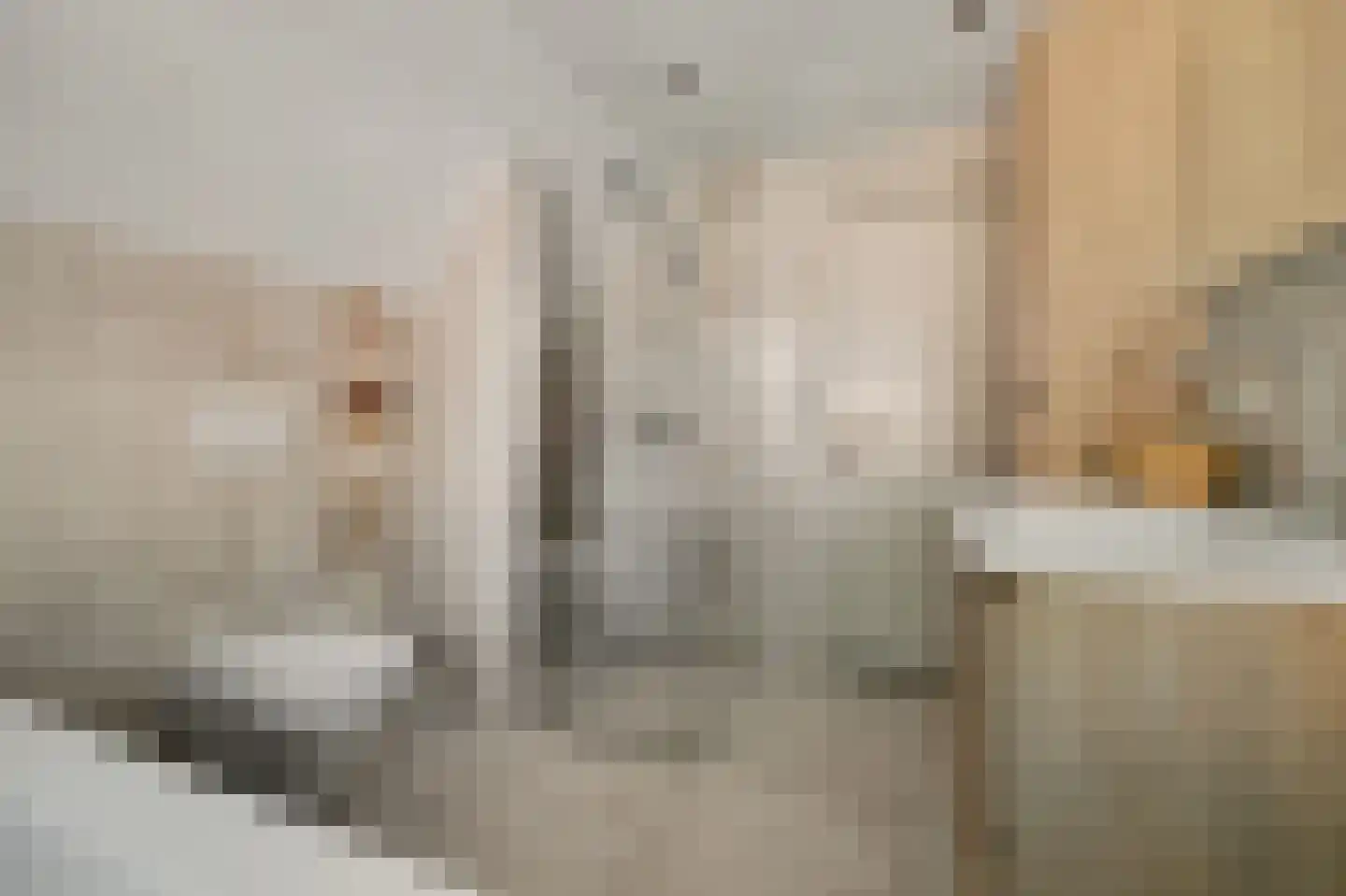 Molensteeg 17 A Drunen thumbnail 26