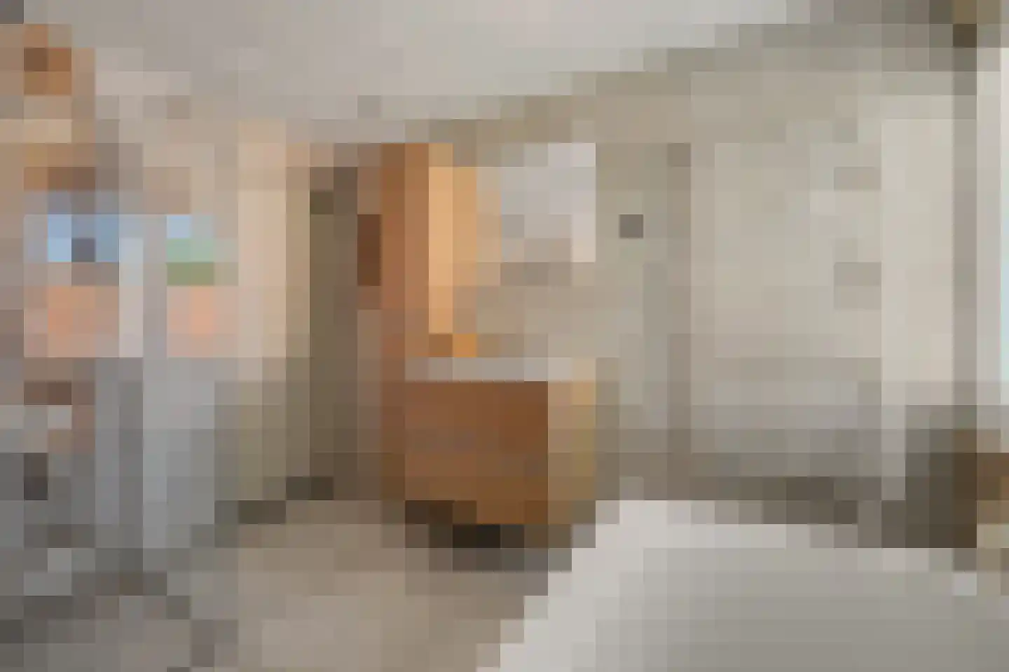 Molensteeg 17 A Drunen thumbnail 27