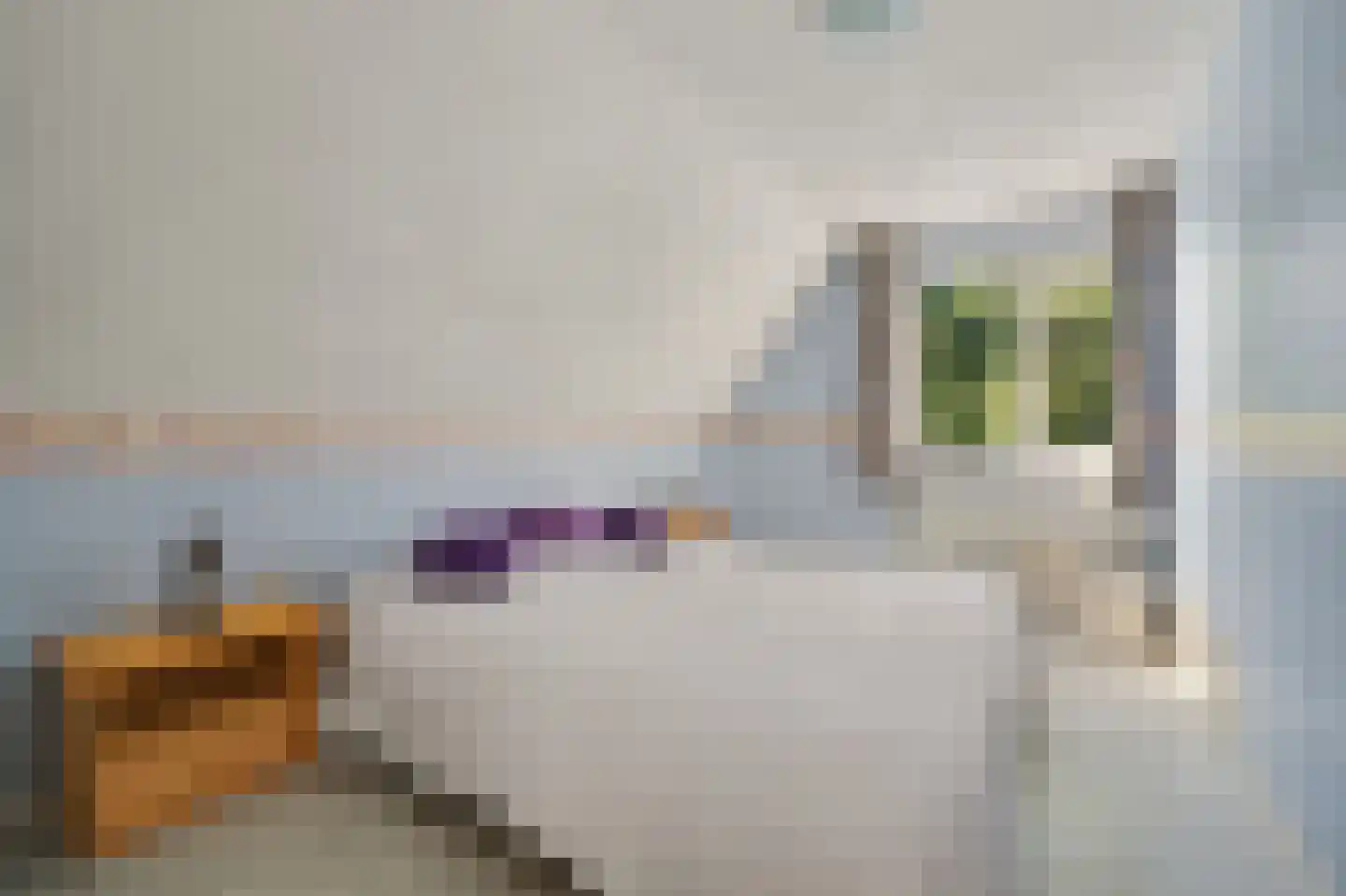 Molensteeg 17 A Drunen thumbnail 28