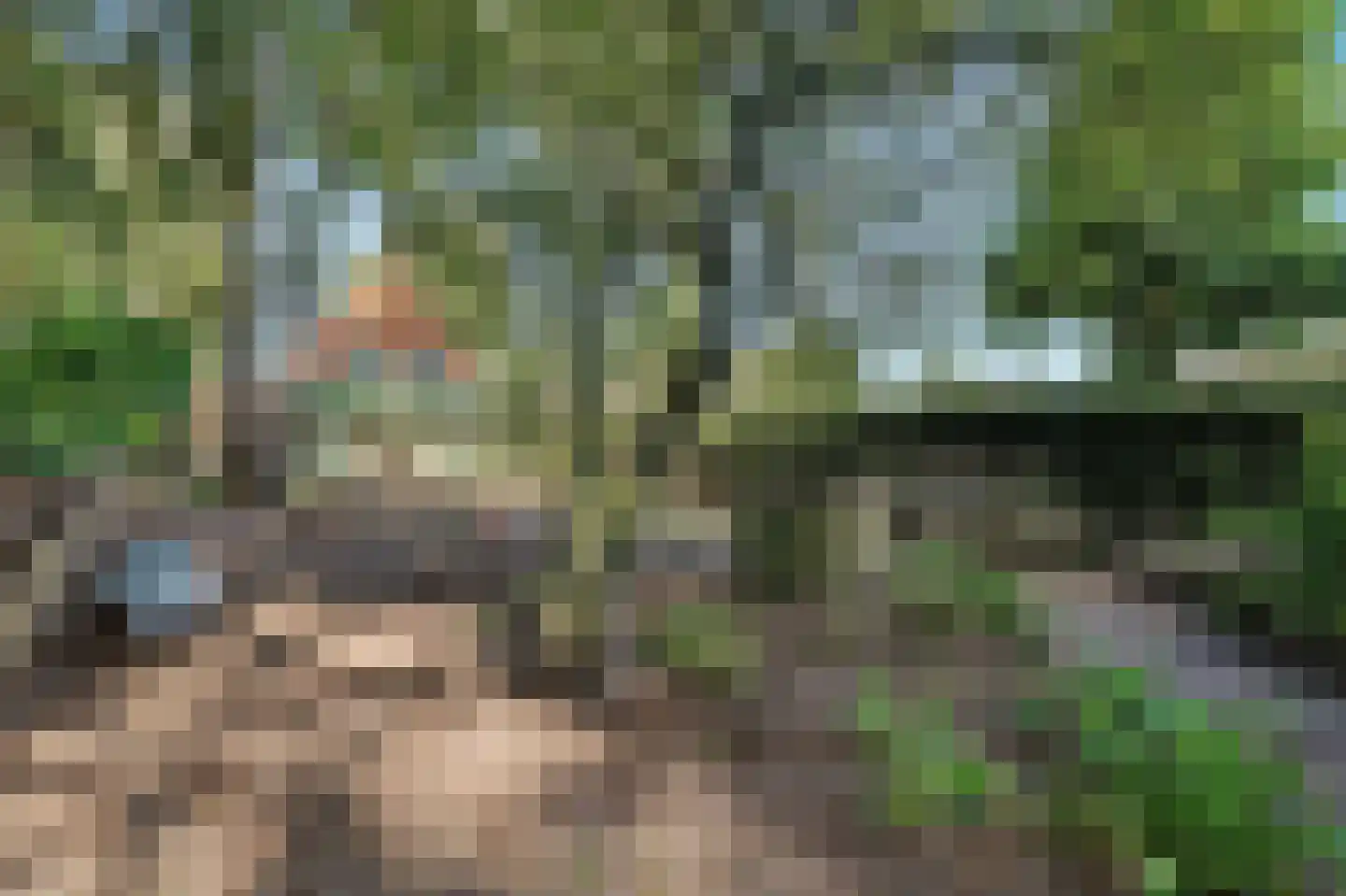 Molensteeg 17 A Drunen thumbnail 34