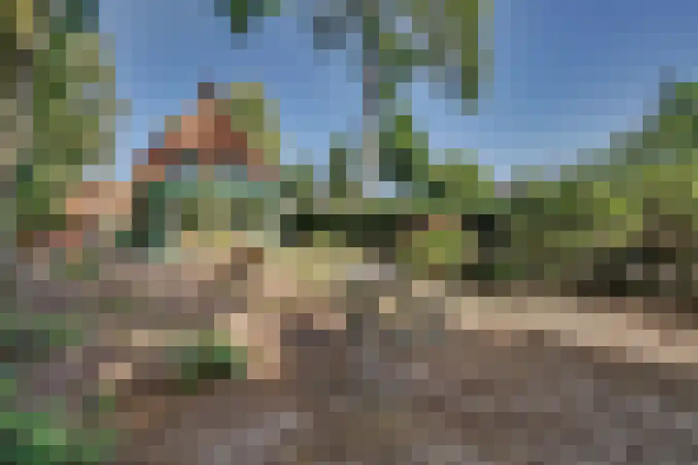Molensteeg 17 A Drunen thumbnail 35
