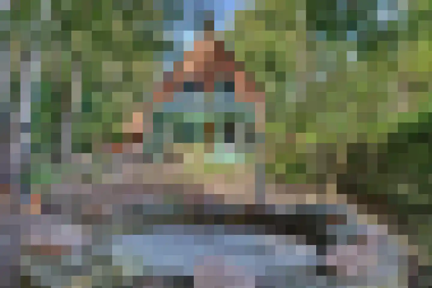 Molensteeg 17 A Drunen thumbnail 36